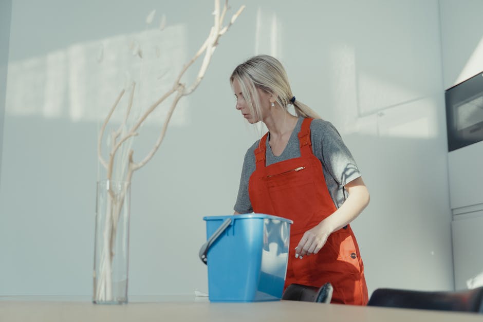 Professional cleaner providing a consultation