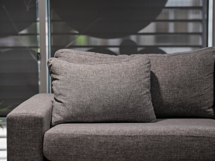 Technician performing upholstery cleaning on a modern sofa