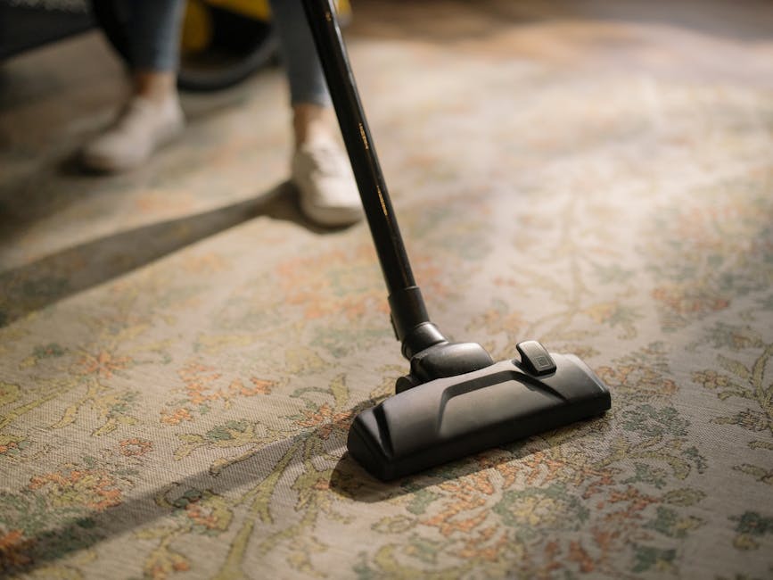 A freshly cleaned, spotless living room carpet